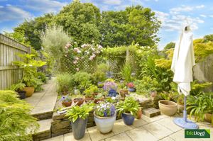 Photo 37- click for photo gallery